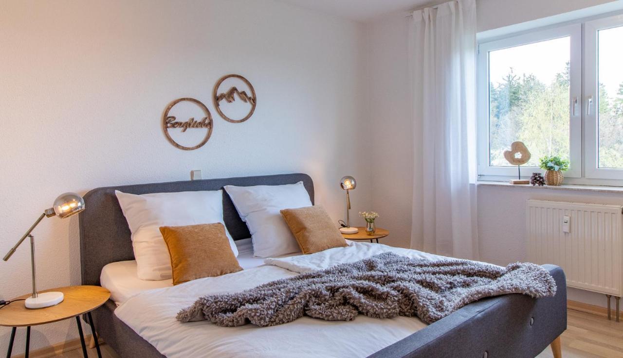 Apartment Bergwiese I Balkon I Aufzug I Stellplatz Schwarzenberg  Ngoại thất bức ảnh
